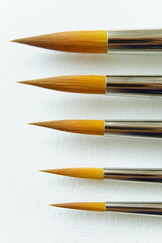Rosemary 344 Designer Rounds Golden Synthetic Individual Brushes (Open Stock)