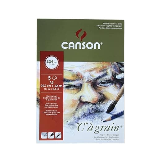 Canson "C" "a' Grain Sheet - 224gsm, A3 ( 29.7 x 42cm) 5 Sheets